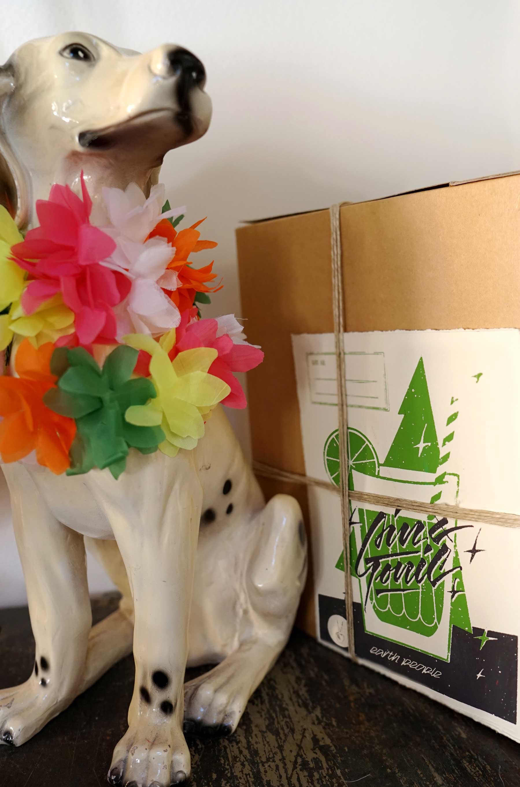 Hund i hulahula-halsband